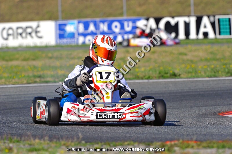 DSC_ (970).jpg